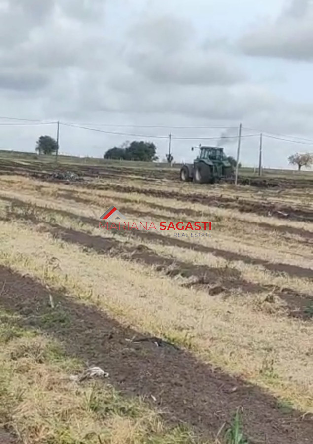 Campo Ref.3552 - Campo en , 