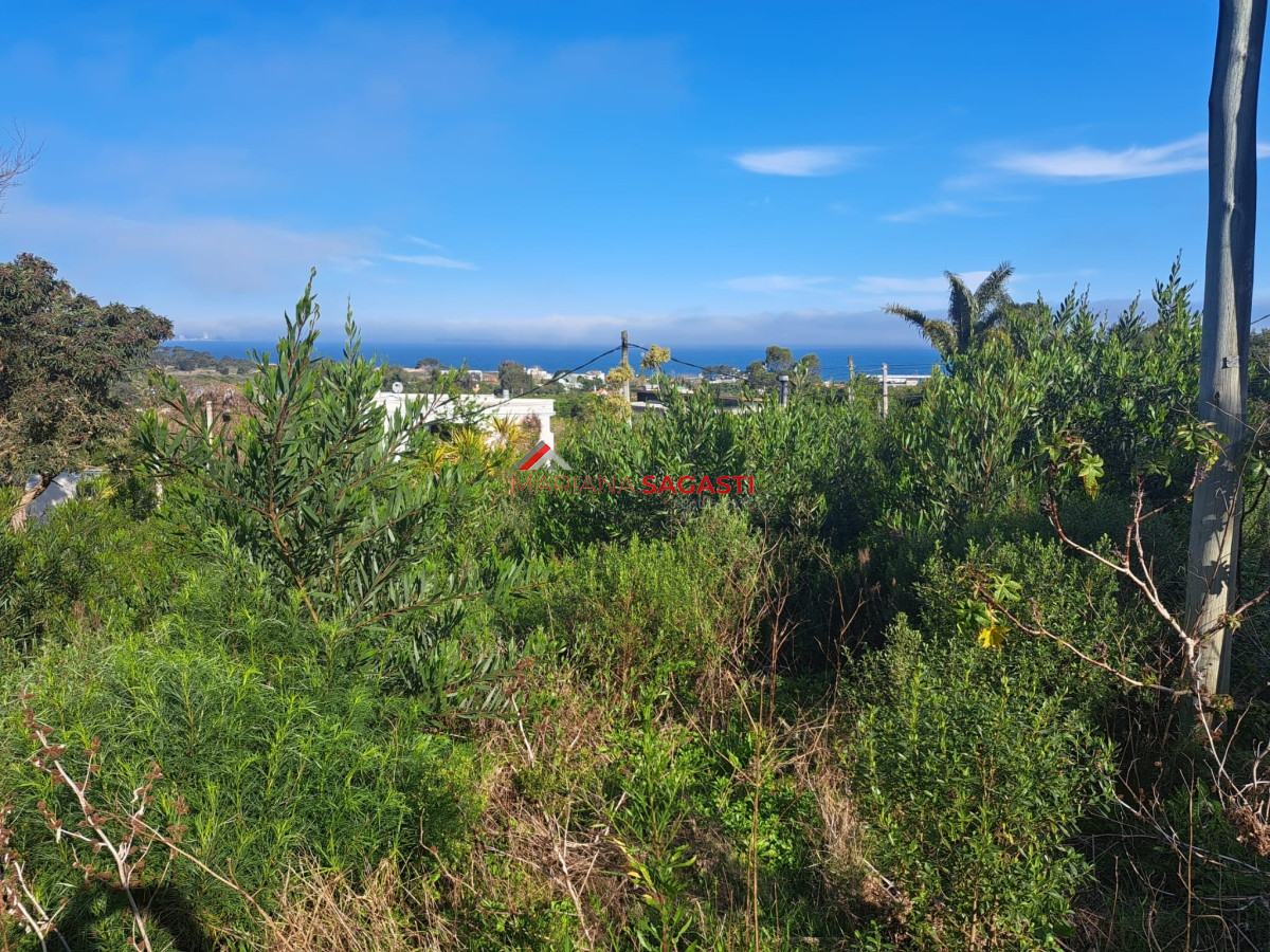 Terreno ID.4018 - Terreno en Punta Ballena, Las Grutas