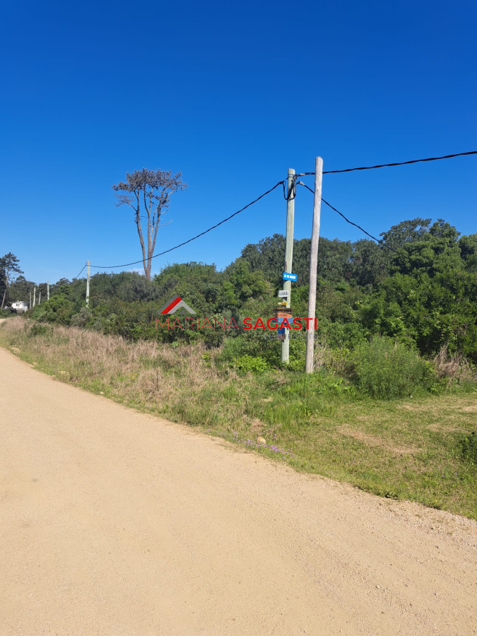 Terreno ID.4031 - Terreno en Punta Ballena, Ocean Park