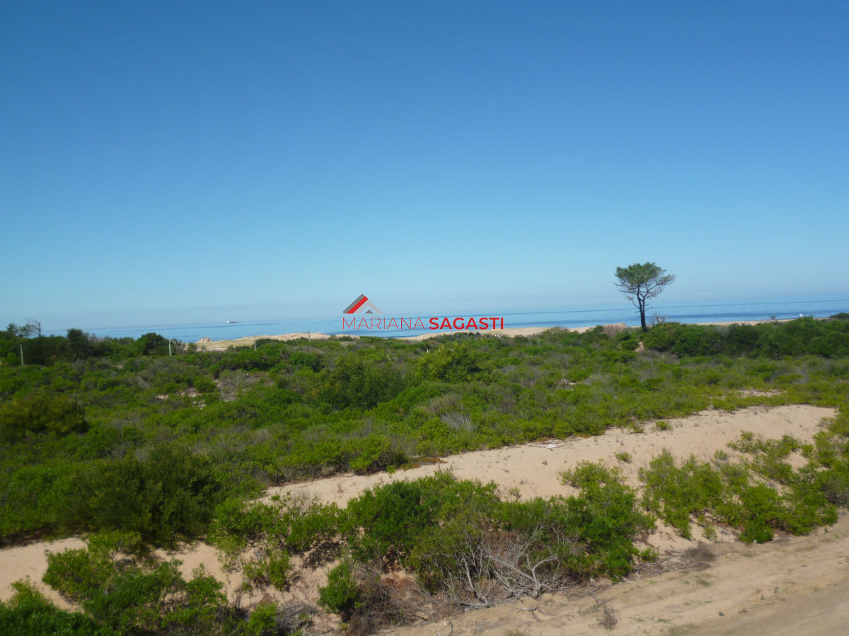 Terreno ID.4304 - Terreno en Punta Ballena, Chihuahua