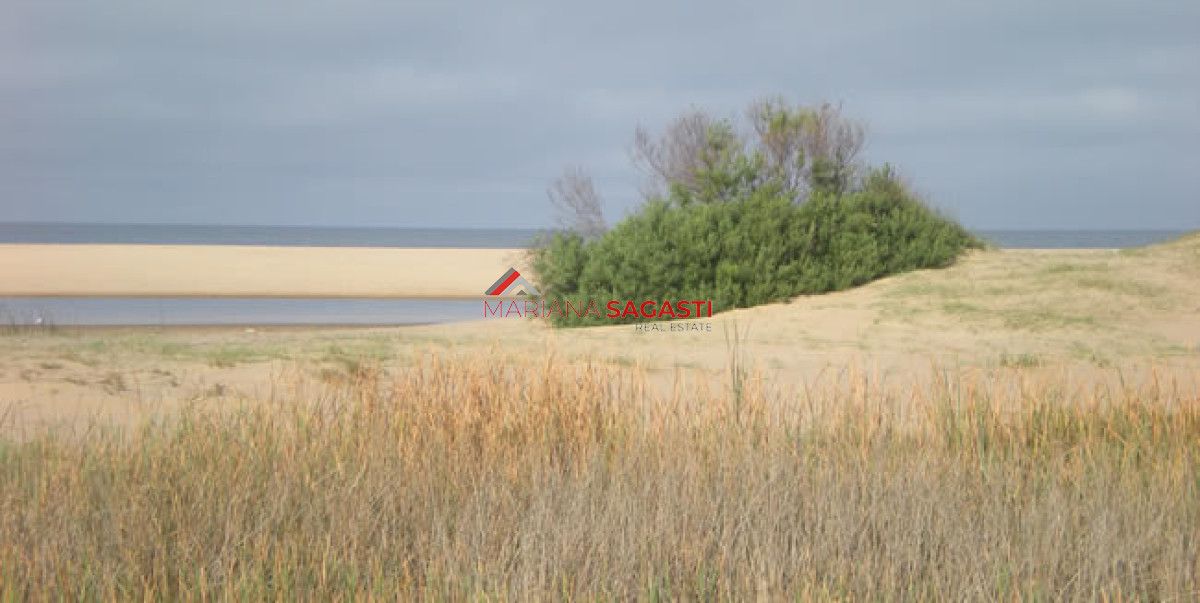 Terreno ID.4324 - Terreno en Punta Ballena, Chihuahua