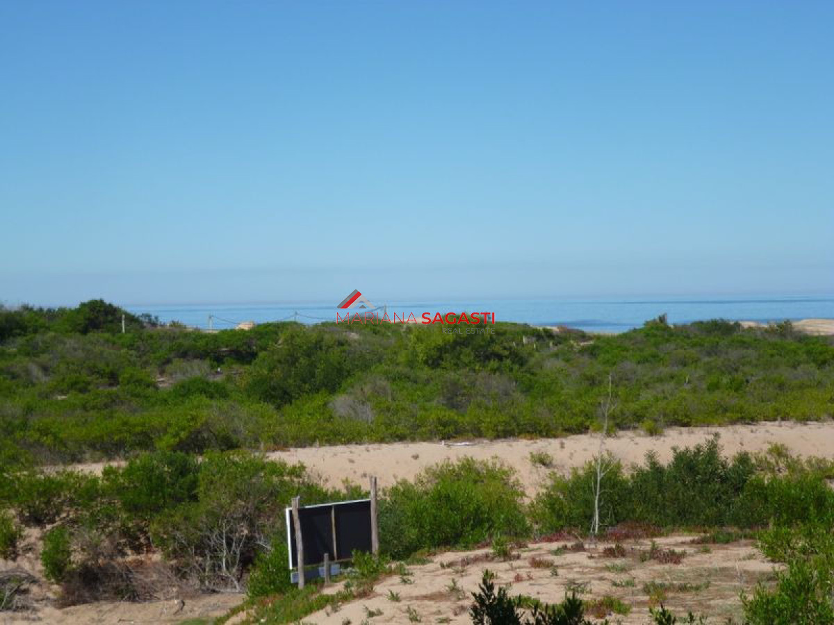 Terreno ID.4304 - Terreno en Punta Ballena, Chihuahua