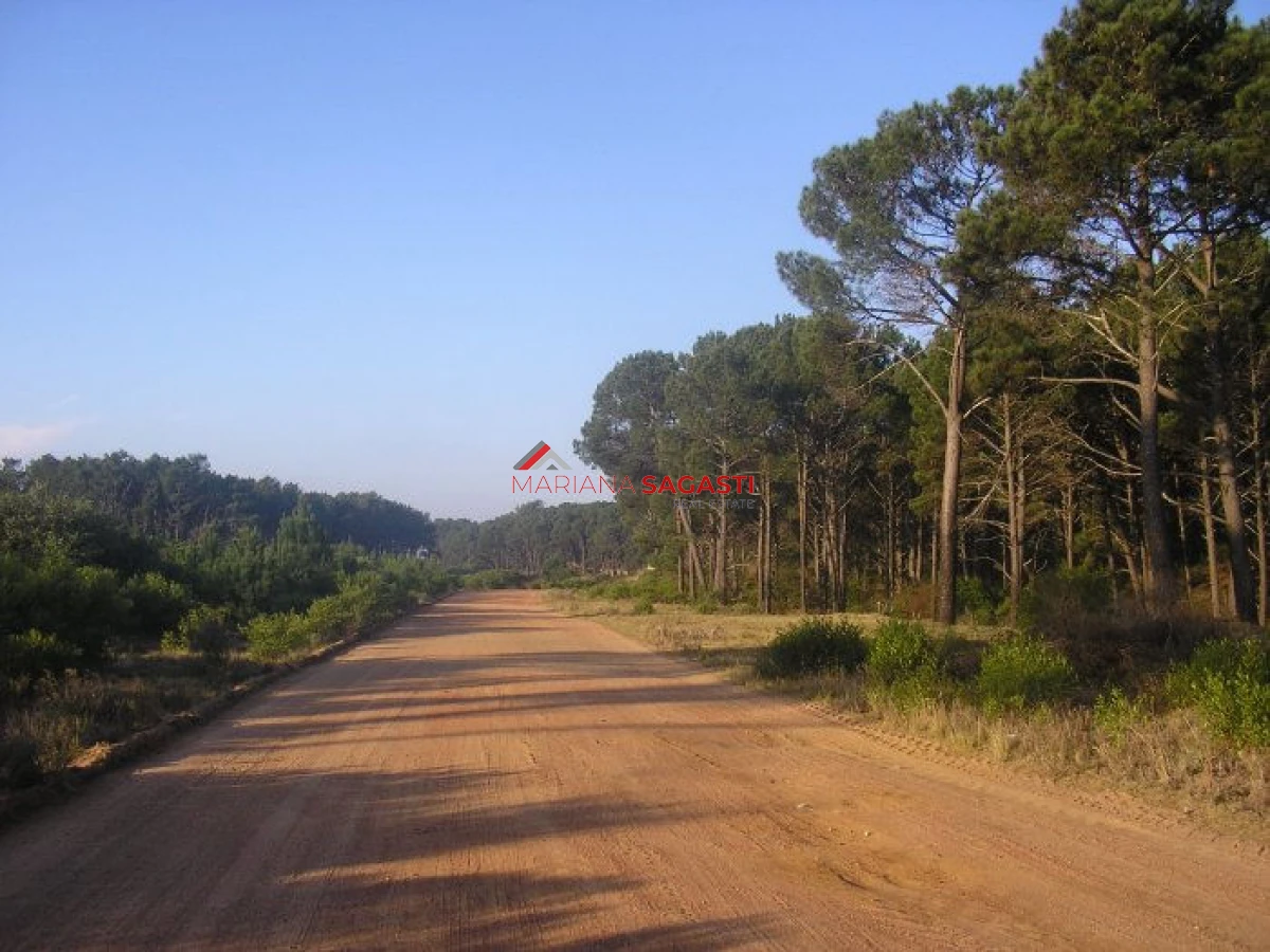 Terreno ID.3311 - Excelentes lotes en Chihuahua