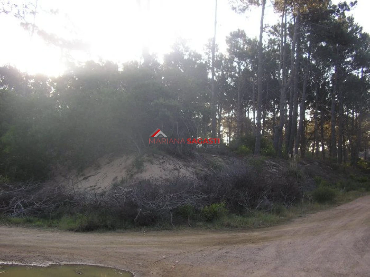 Terreno ID.3311 - Excelentes lotes en Chihuahua