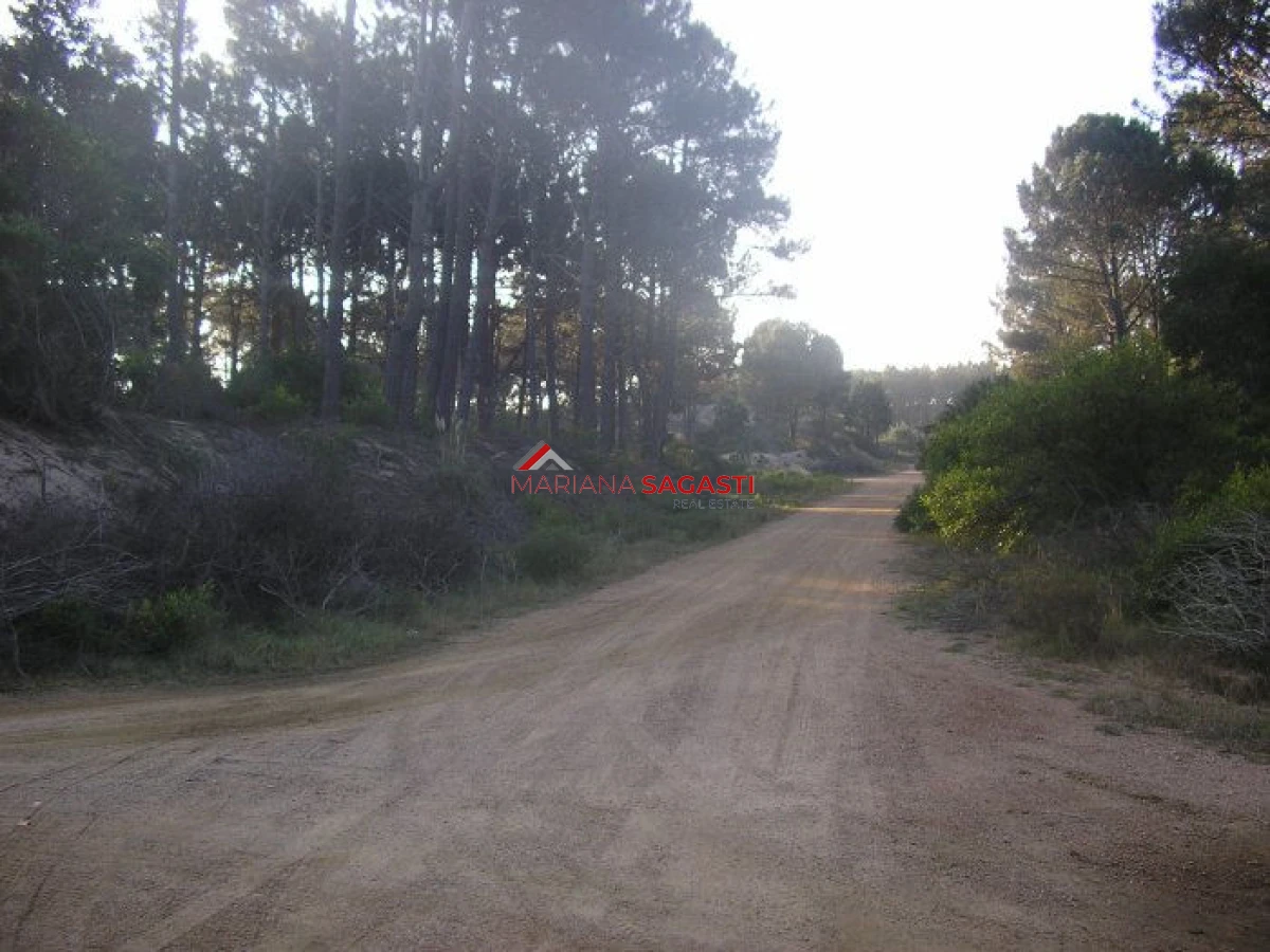 Terreno ID.3311 - Excelentes lotes en Chihuahua