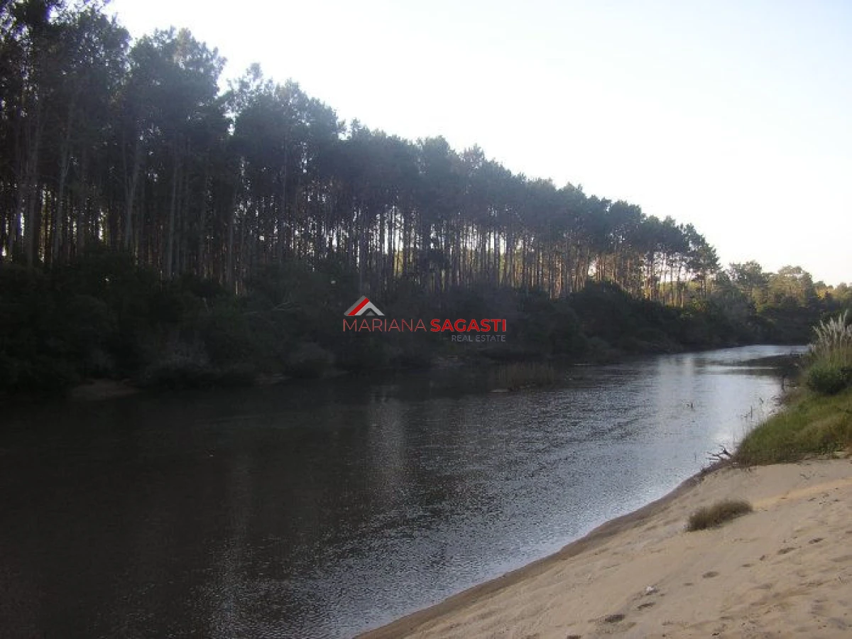 Terreno ID.3311 - Excelentes lotes en Chihuahua