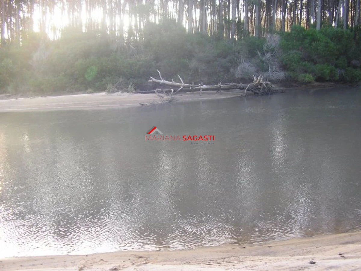 Terreno ID.3311 - Excelentes lotes en Chihuahua