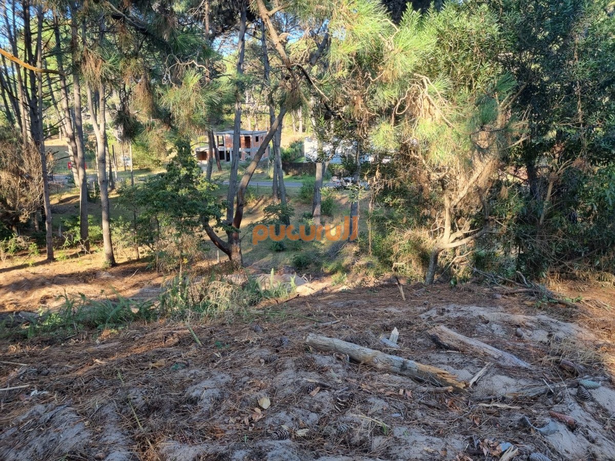 Club del Lago - GoPunta - Portal Inmobiliario de Punta del Este - Maldonado