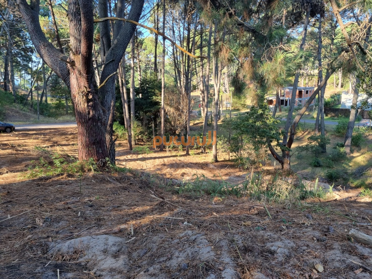 Club del Lago - GoPunta - Portal Inmobiliario de Punta del Este - Maldonado