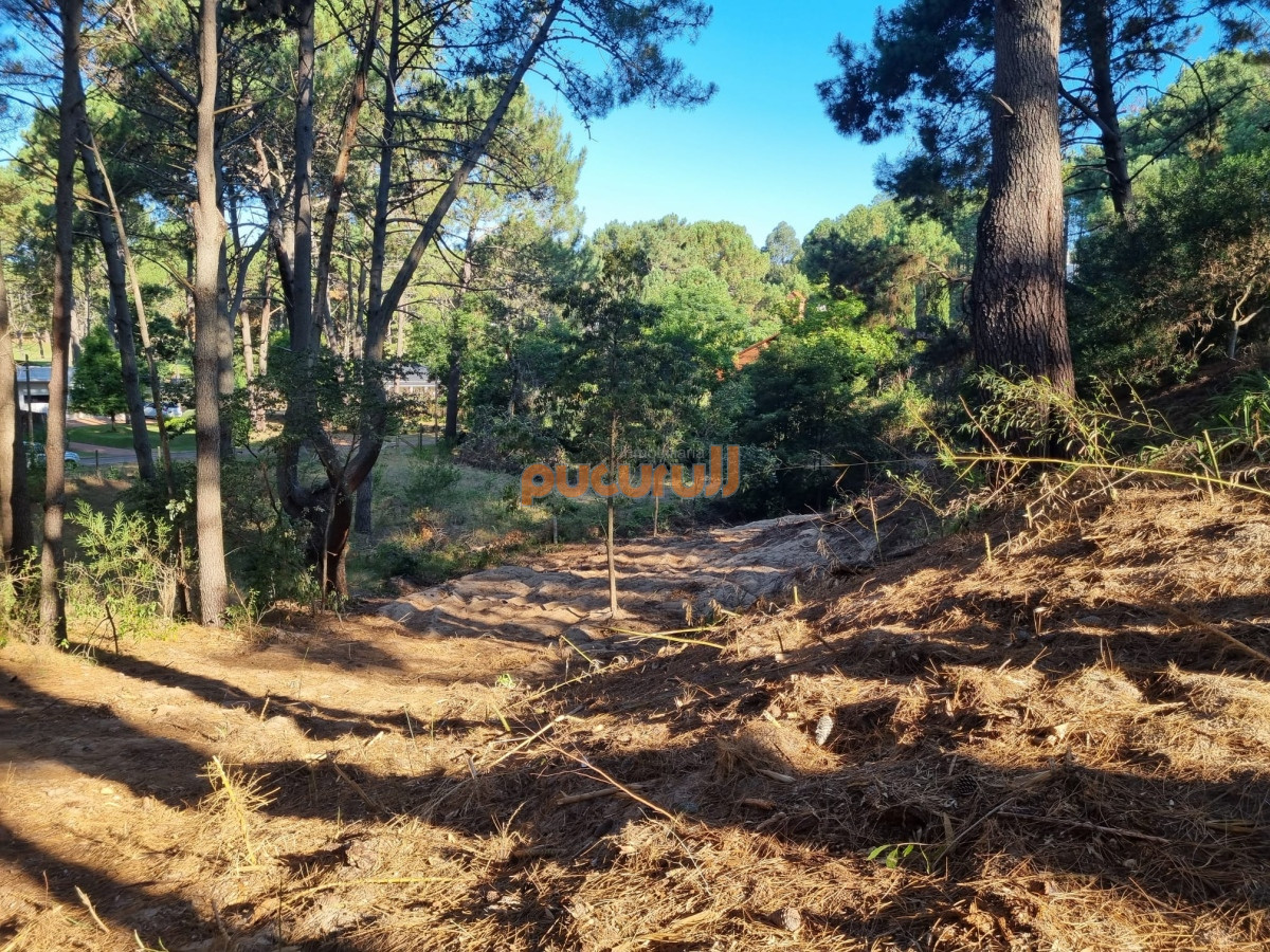 Terreno ID.1854 - Venta de Lote en club del Lago 2628m2.