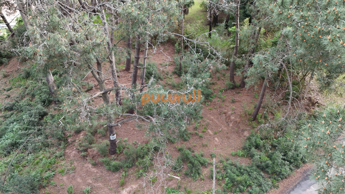 Terreno ID.1854 - Venta de Lote en club del Lago 2628m2.
