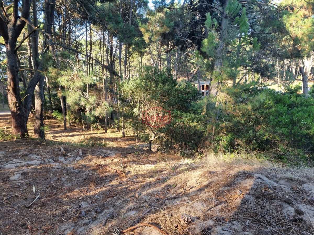 Terreno ID.166258/venta-de-terreno- - Venta de Lote en club del Lago 2628m2.