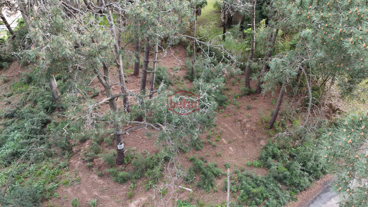 Terreno ID.166258/ - Venta de Lote en club del Lago 2628m2.