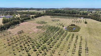 architecture-1171462