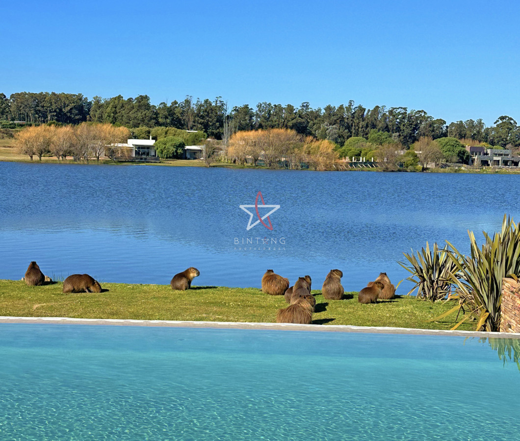 Pueblo Mio - GoPunta - Portal Inmobiliario de Punta del Este - Maldonado