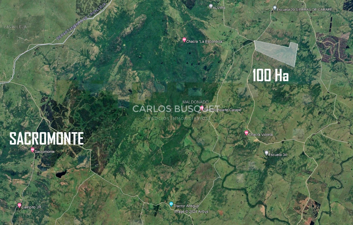Campo Ref.1093 - 100 hectáreas a 39 km de San Carlos, Paraje Sierras de Carapé.