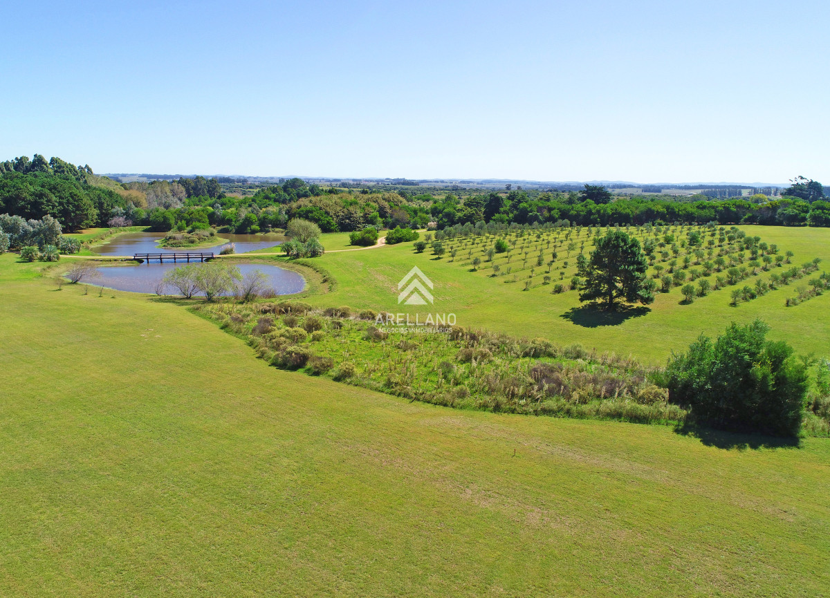 Casa ID.4642 - Chacra de lujo en José Ignacio con vista al océano. 5 suites, 3 hectáreas 