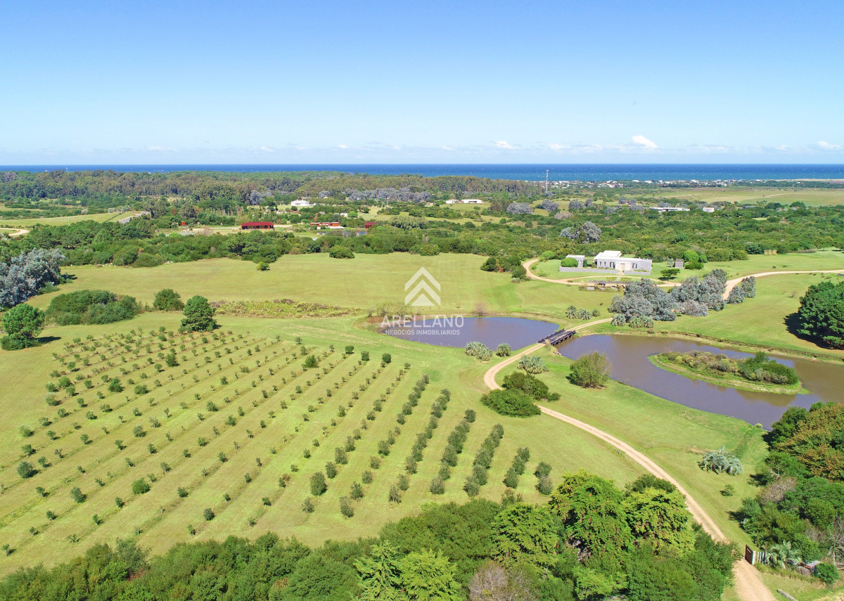 Casa ID.4642 - Chacra de lujo en José Ignacio con vista al océano. 5 suites, 3 hectáreas 