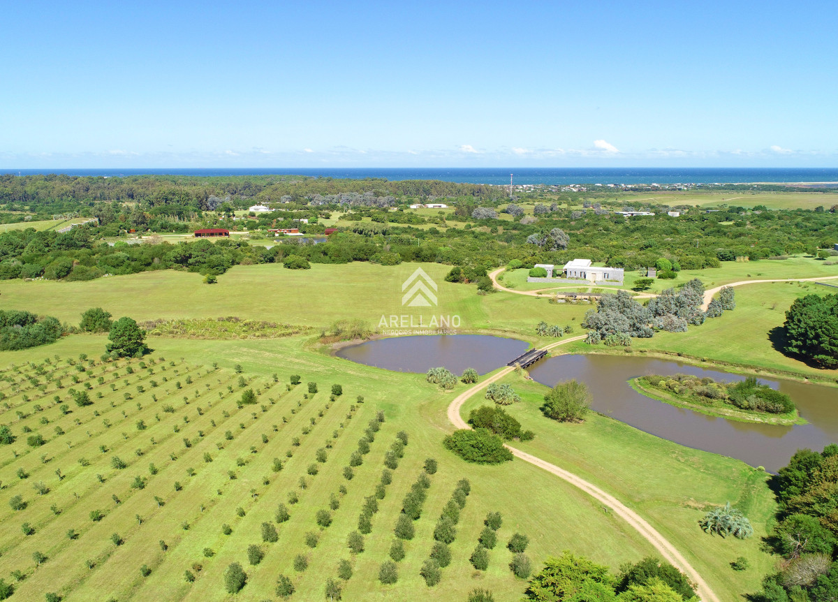 Casa ID.4642 - Chacra de lujo en José Ignacio con vista al océano. 5 suites, 3 hectáreas 