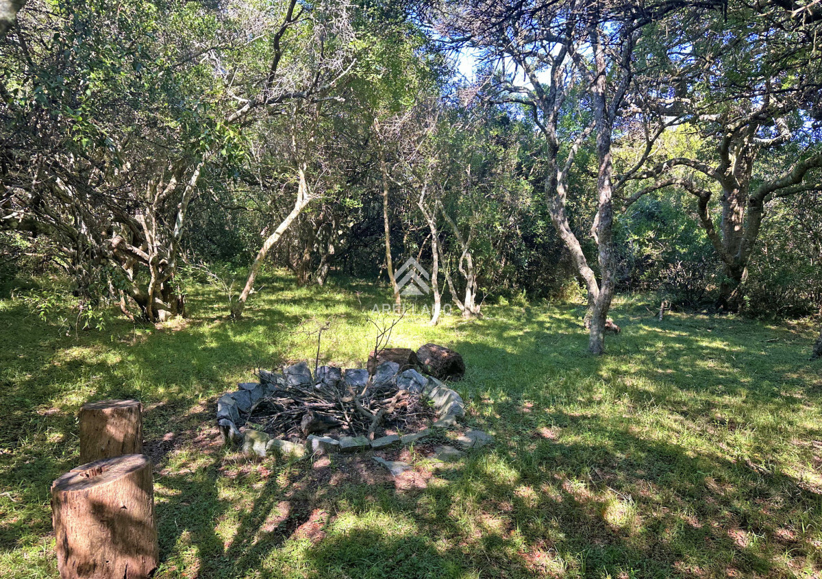 Casa ID.4642 - Chacra de lujo en José Ignacio con vista al océano. 5 suites, 3 hectáreas 