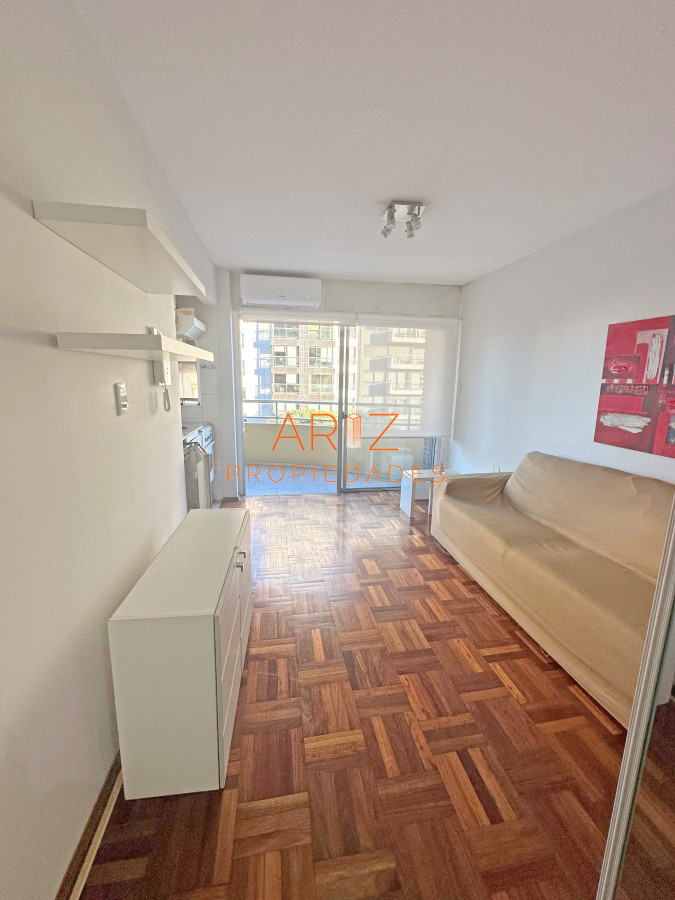 Apartamento ID.2382 - Punta Carretas, sobre Av Sarmiento, al frente. Gran terraza. Con renta