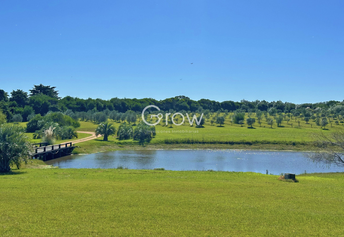 Casa ID.2718 - Chacra de lujo en José Ignacio con vista al océano. 5 suites, 3 hectáreas 