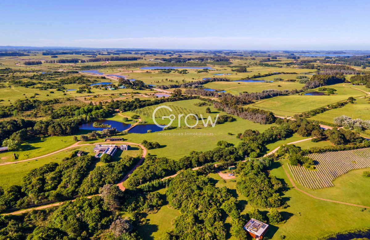 Casa ID.2718 - Chacra de lujo en José Ignacio con vista al océano. 5 suites, 3 hectáreas 