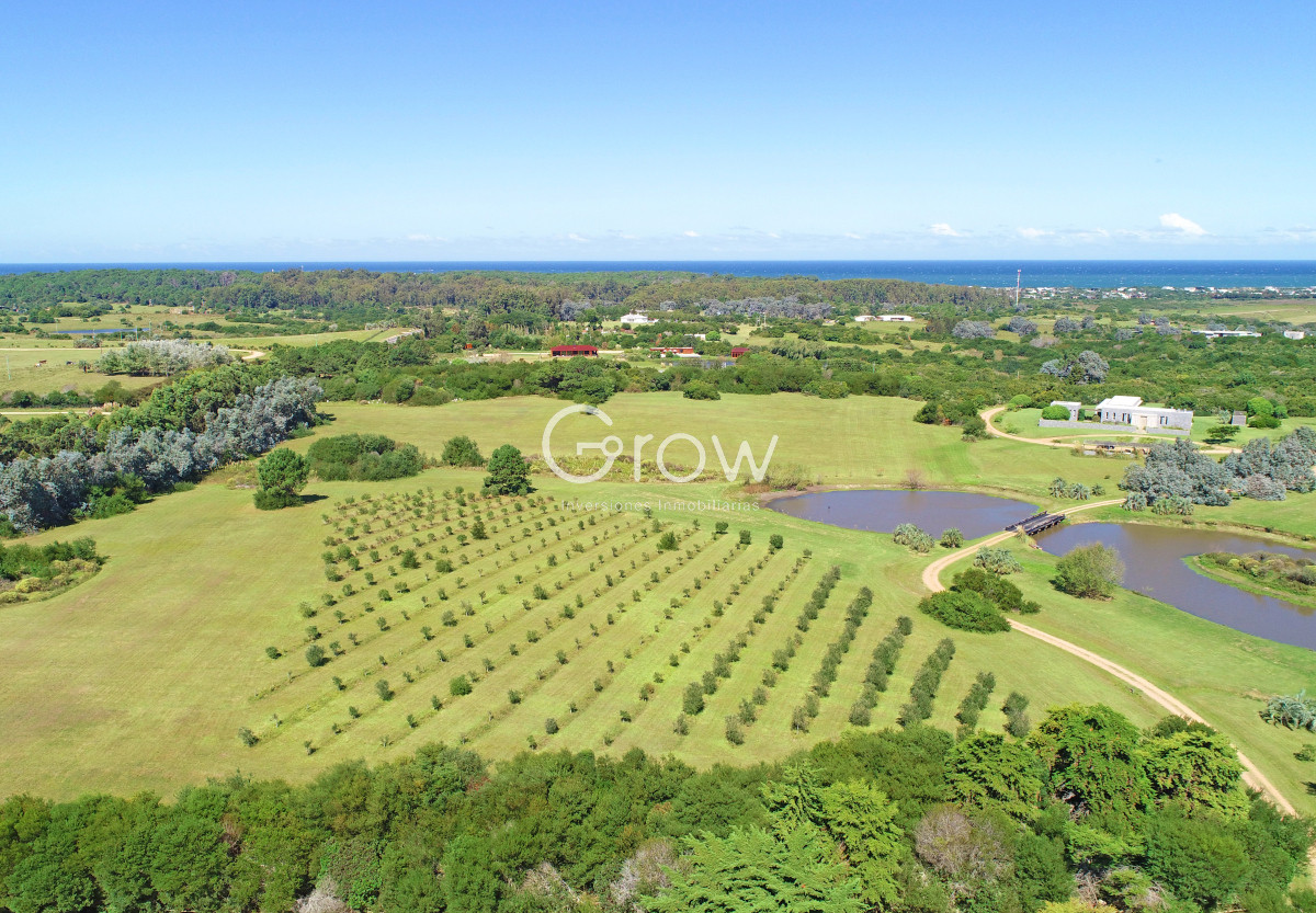 Casa ID.2718 - Chacra de lujo en José Ignacio con vista al océano. 5 suites, 3 hectáreas 
