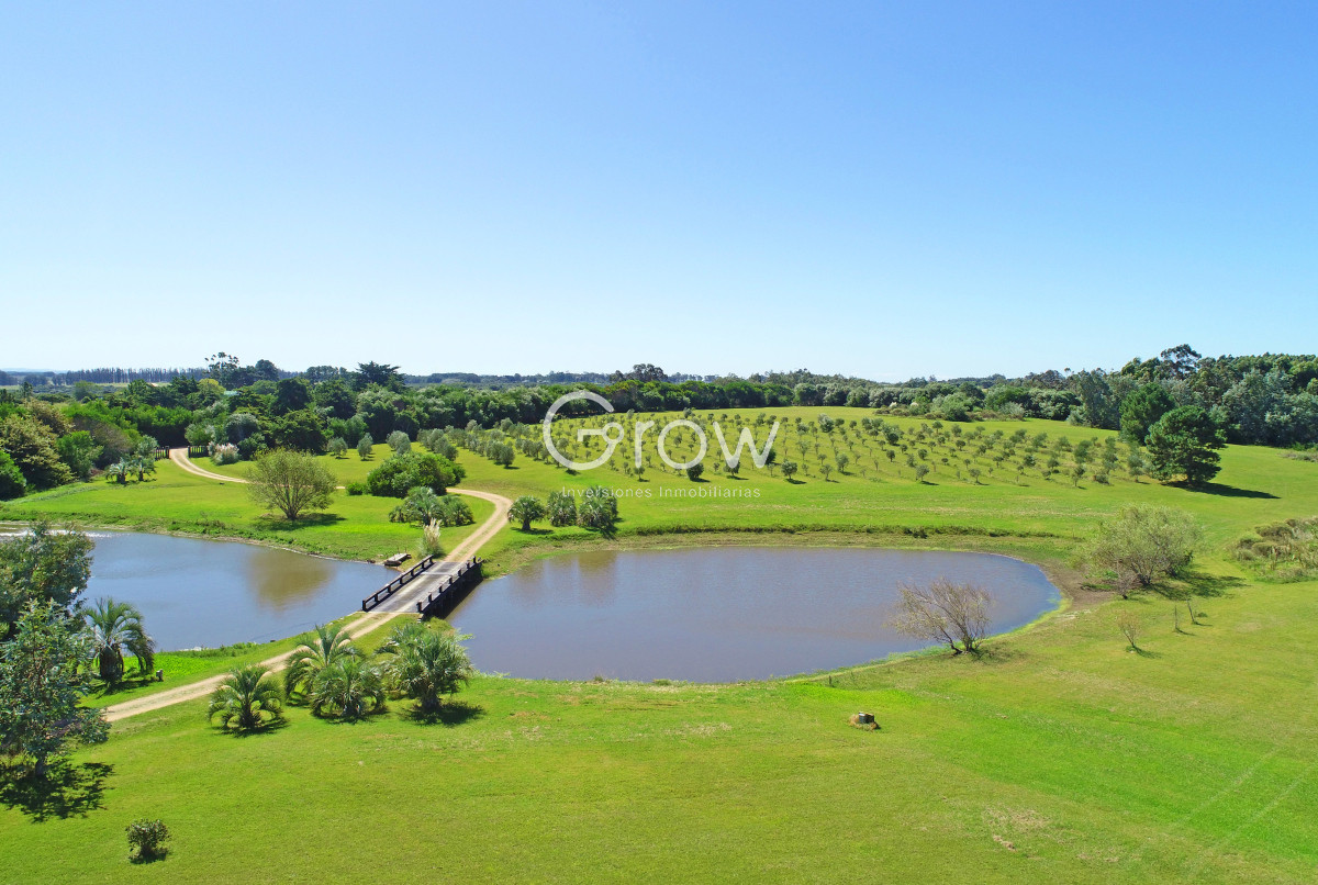 Casa ID.2718 - Chacra de lujo en José Ignacio con vista al océano. 5 suites, 3 hectáreas 