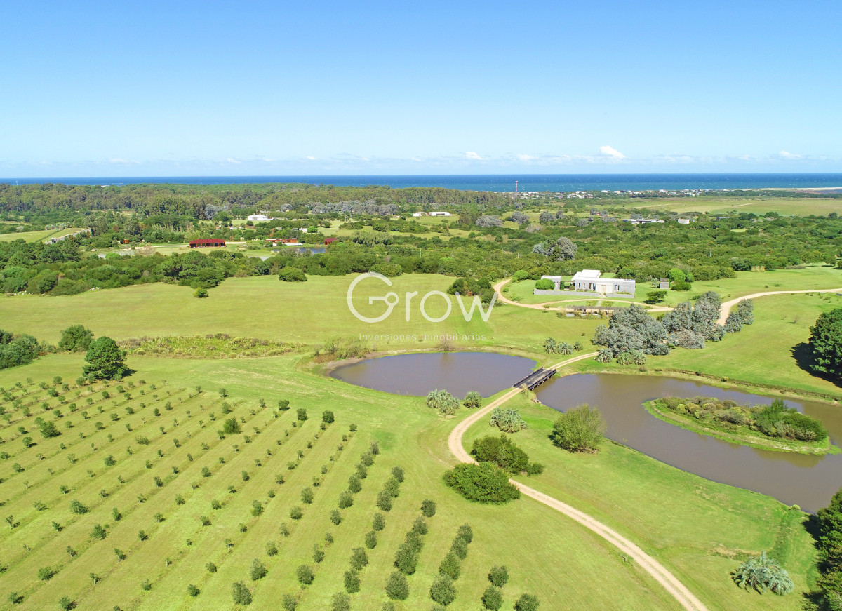 Casa ID.2718 - Chacra de lujo en José Ignacio con vista al océano. 5 suites, 3 hectáreas 