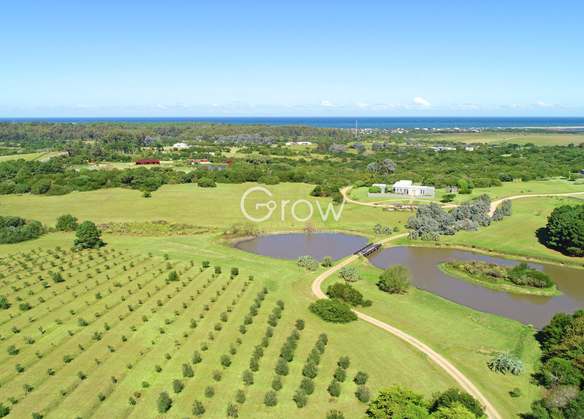Casa ID.2718 - Chacra de lujo en José Ignacio con vista al océano. 5 suites, 3 hectáreas 