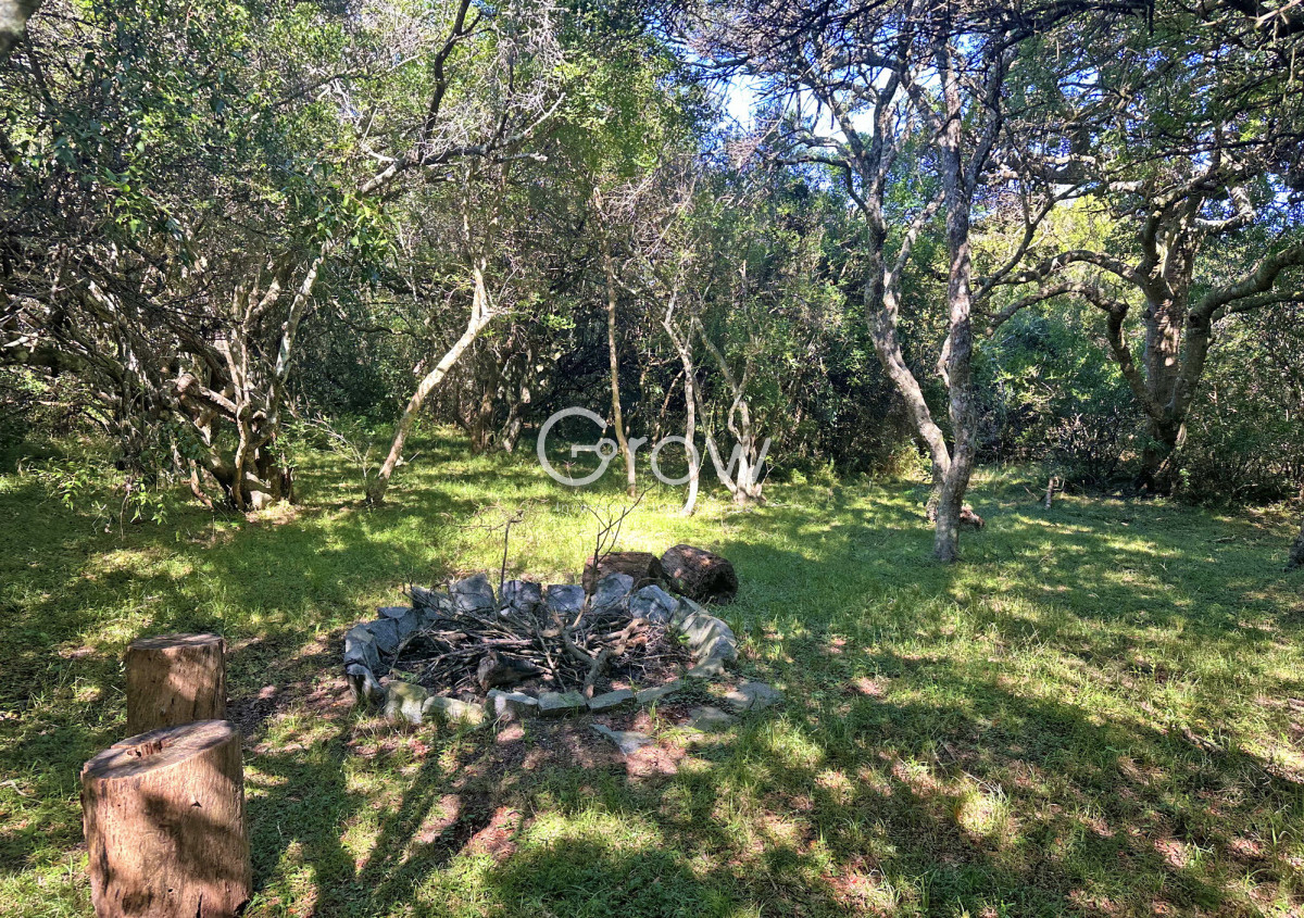 Casa ID.2718 - Chacra de lujo en José Ignacio con vista al océano. 5 suites, 3 hectáreas 
