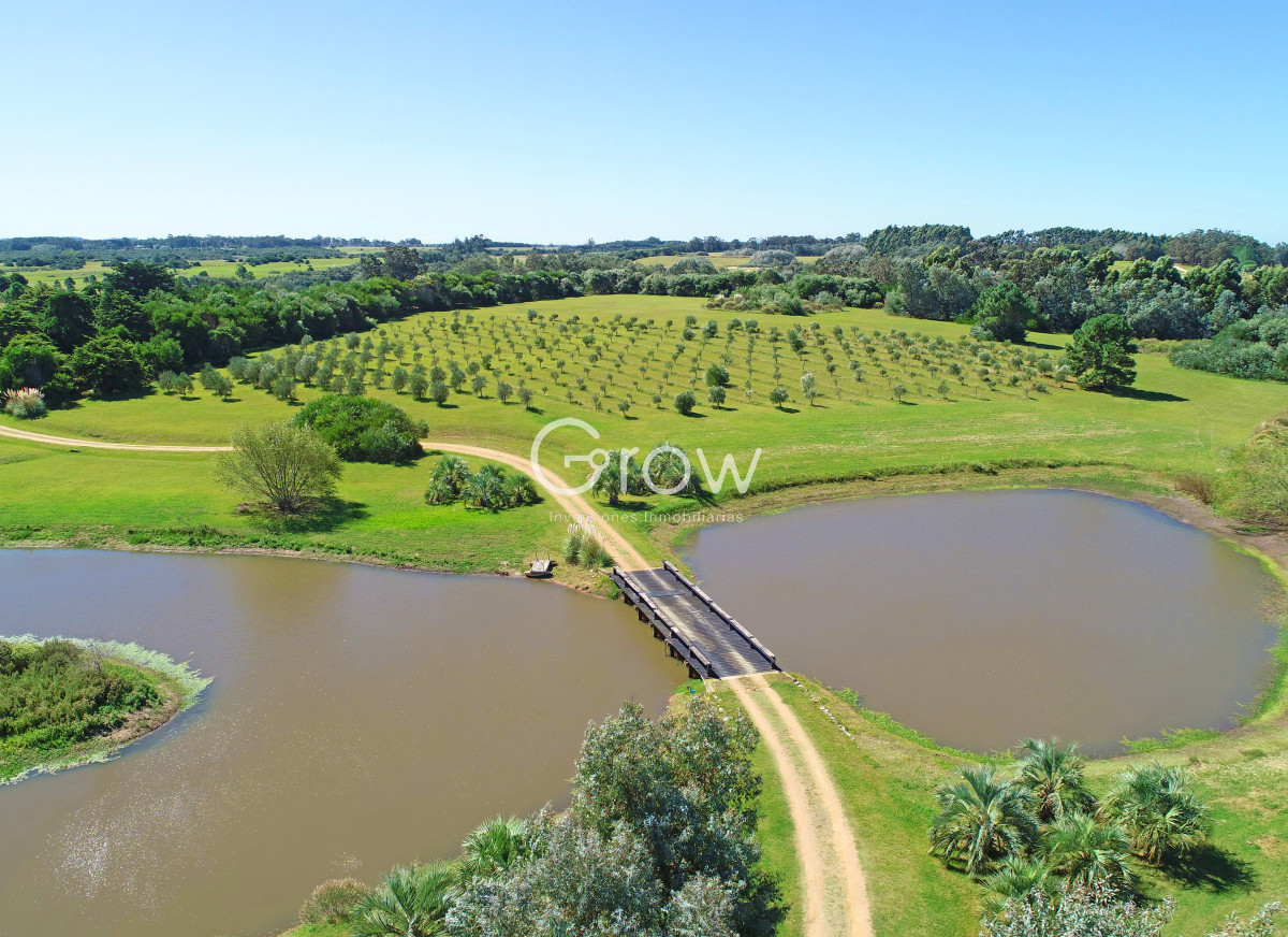 Casa ID.2718 - Chacra de lujo en José Ignacio con vista al océano. 5 suites, 3 hectáreas 