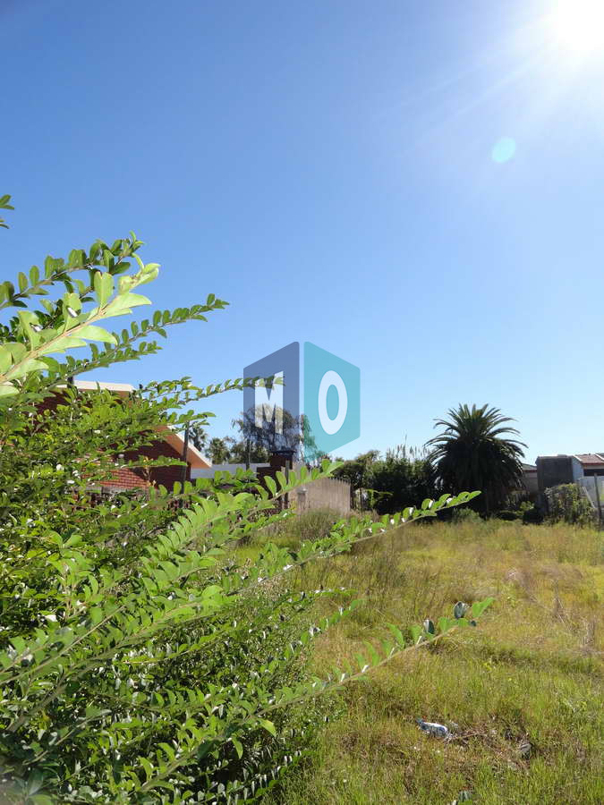 Terreno ID.1154 - Maldonado, calle Ituzaingó, Apto para bloque, Apto vivienda social.