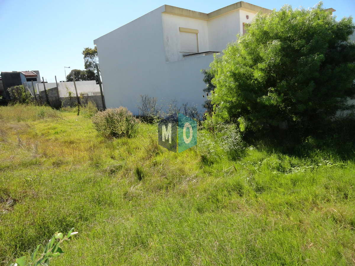 Terreno ID.1154 - Maldonado, calle Ituzaingó, Apto para bloque, Apto vivienda social.