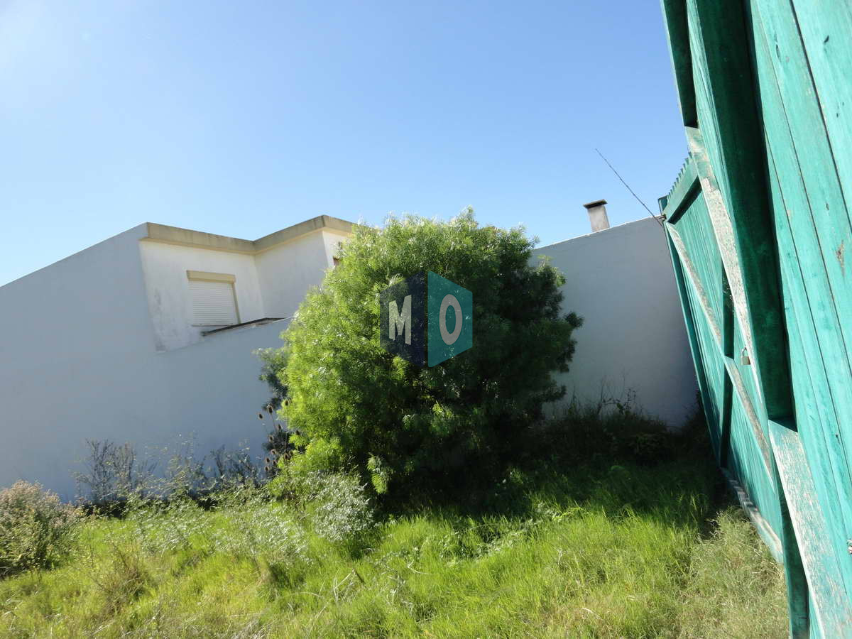 Terreno ID.1154 - Maldonado, calle Ituzaingó, Apto para bloque, Apto vivienda social.