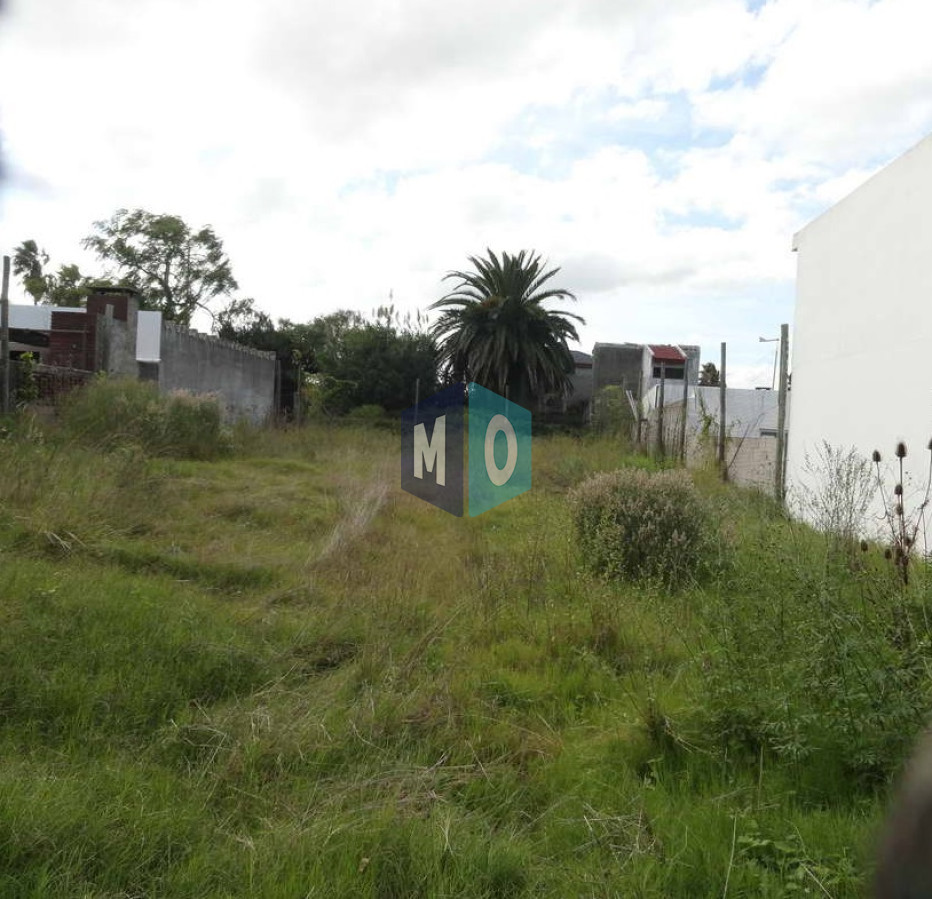 Terreno ID.1154 - Maldonado, calle Ituzaingó, Apto para bloque, Apto vivienda social.