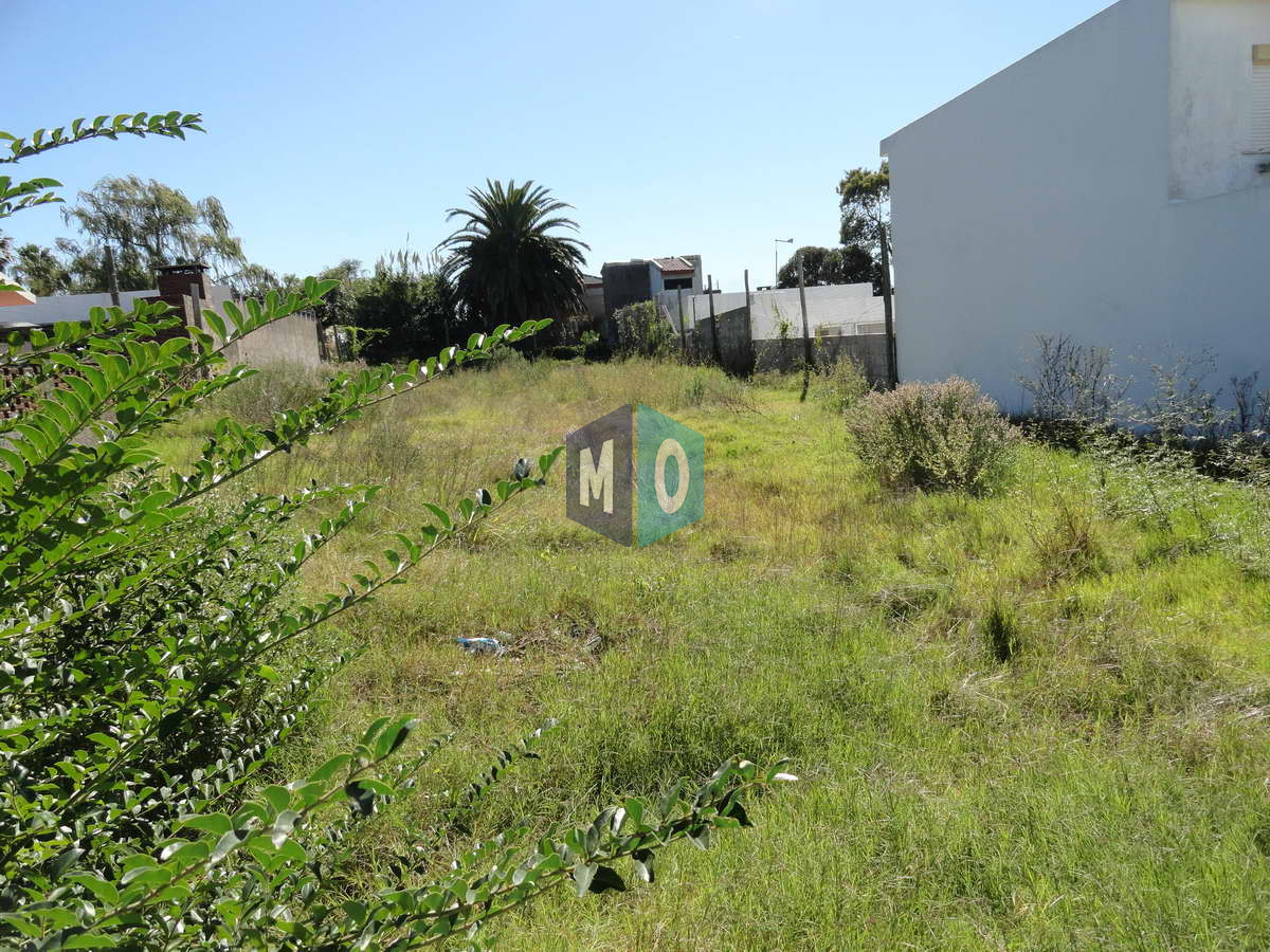 Terreno ID.1154 - Maldonado, calle Ituzaingó, Apto para bloque, Apto vivienda social.