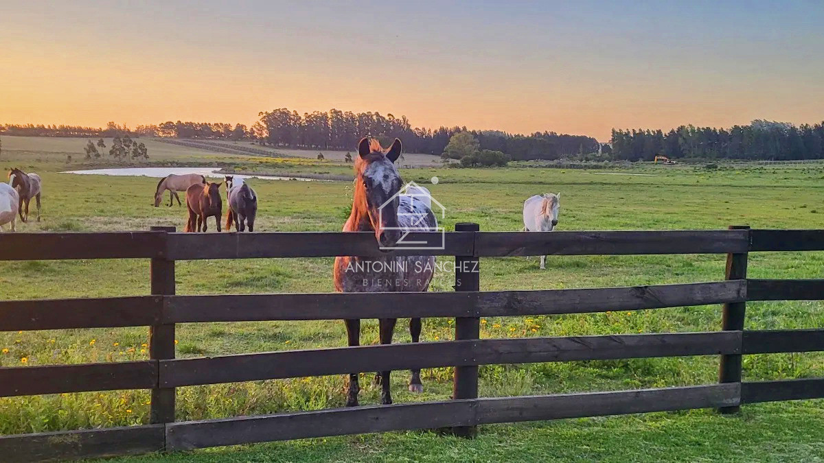 Terreno ID.2297 - Barrio Privado, Pueblo Mio. Lote 2. Orientación NORTE