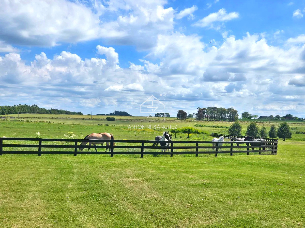 Terreno ID.2297 - Barrio Privado, Pueblo Mio. Lote 2. Orientación NORTE