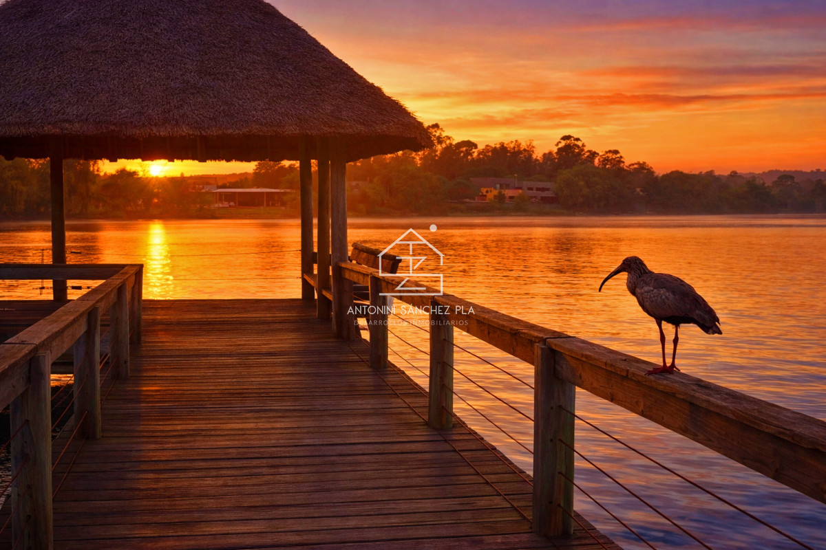 Terreno ID.2297 - Barrio Privado, Pueblo Mio. Lote 2. Orientación NORTE