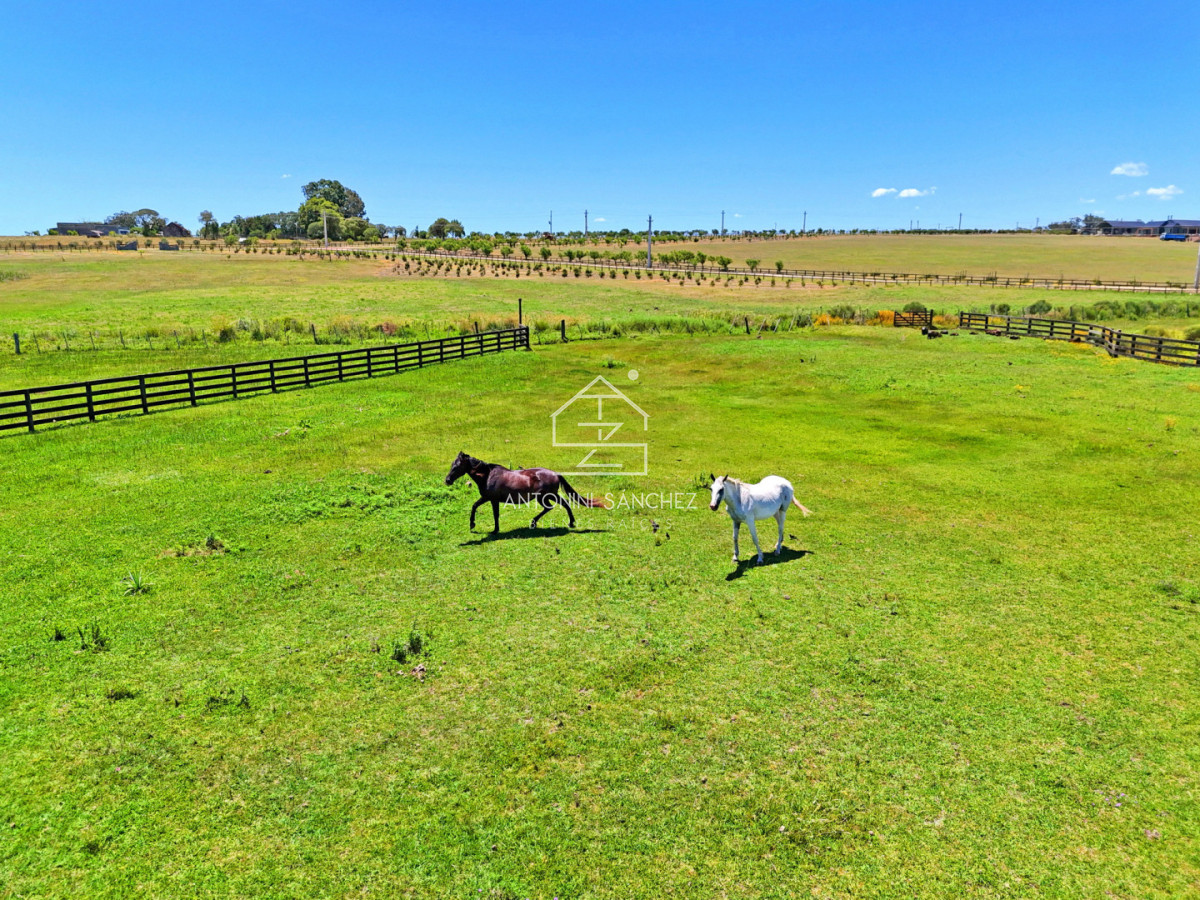 Terreno ID.2297 - Barrio Privado, Pueblo Mio. Lote 2. Orientación NORTE