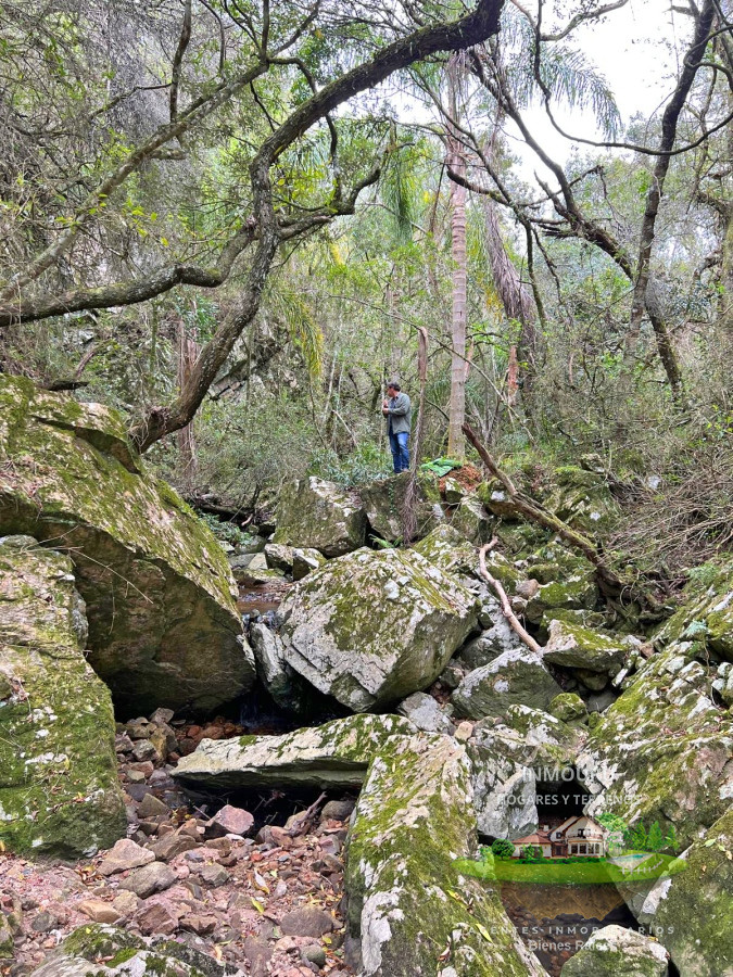 Campo Ref.782 - 29.5 hectáreas turísticas con vistas espectaculares. Próximo a Sacromonte.