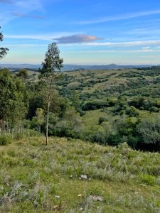 29.5 hectáreas turísticas con vistas espectaculares. Próximo a Sacromonte.