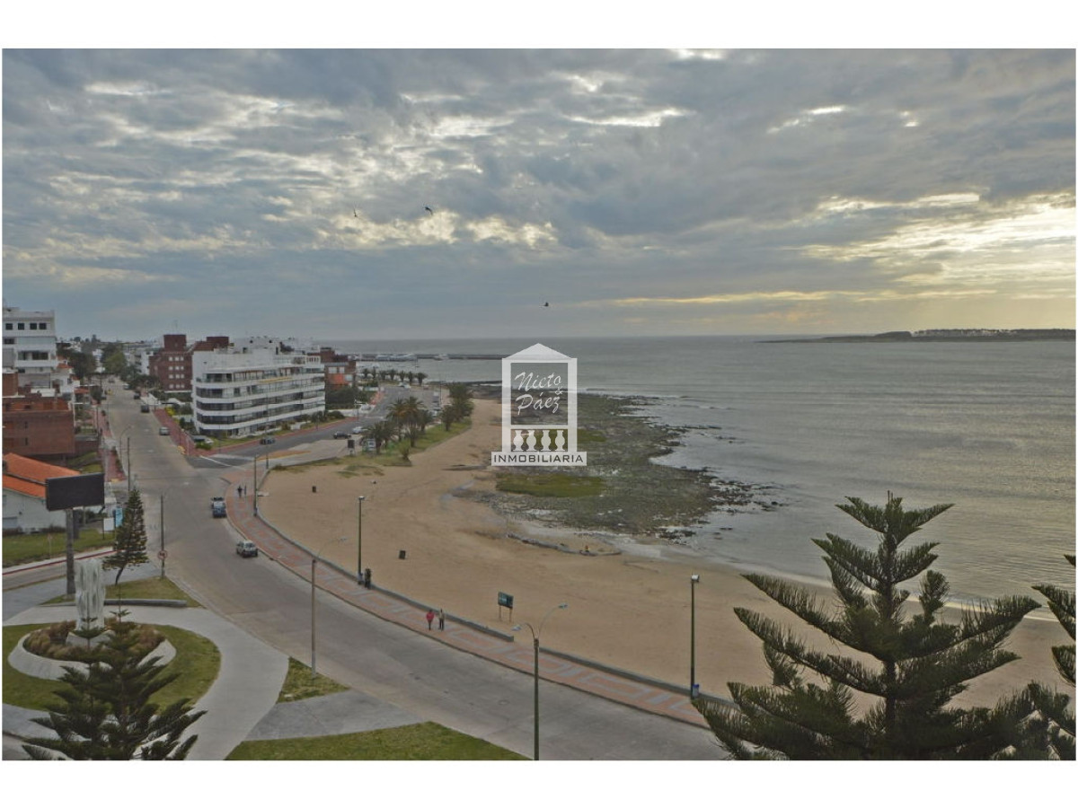 Mansa - GoPunta - Portal Inmobiliario de Punta del Este - Maldonado