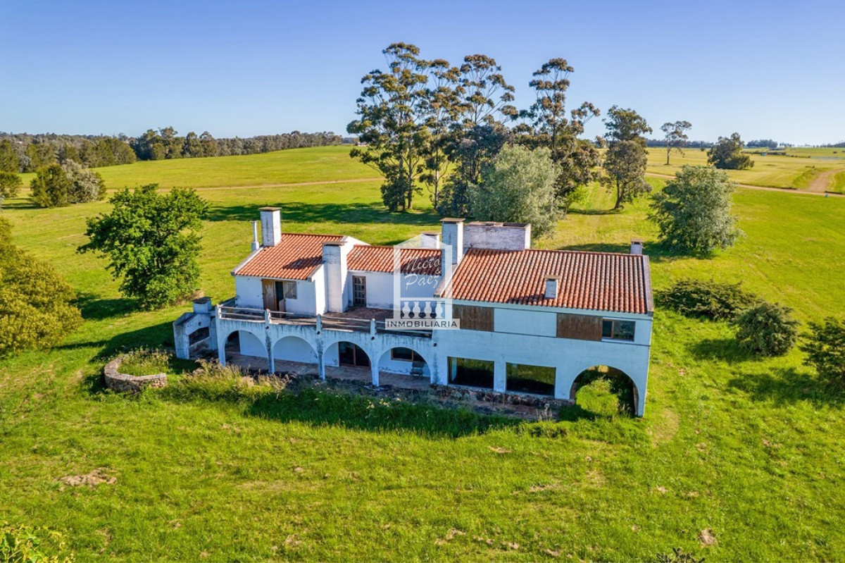 Laguna de los Cisnes - GoPunta - Portal Inmobiliario de Punta del Este - Maldonado