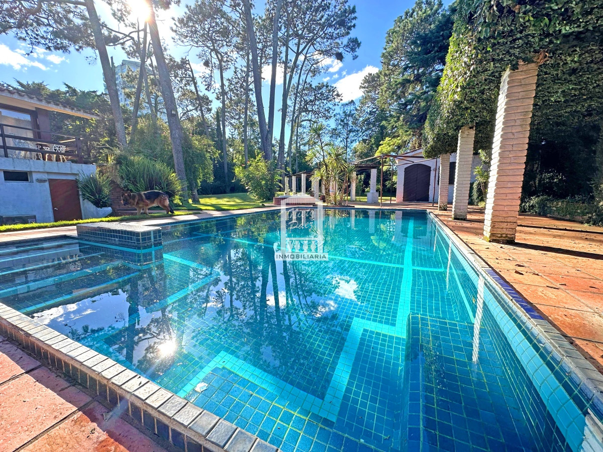 Mansa, apto para edificio bajo. 420 m2 construidos en un lote de 2.470 m2