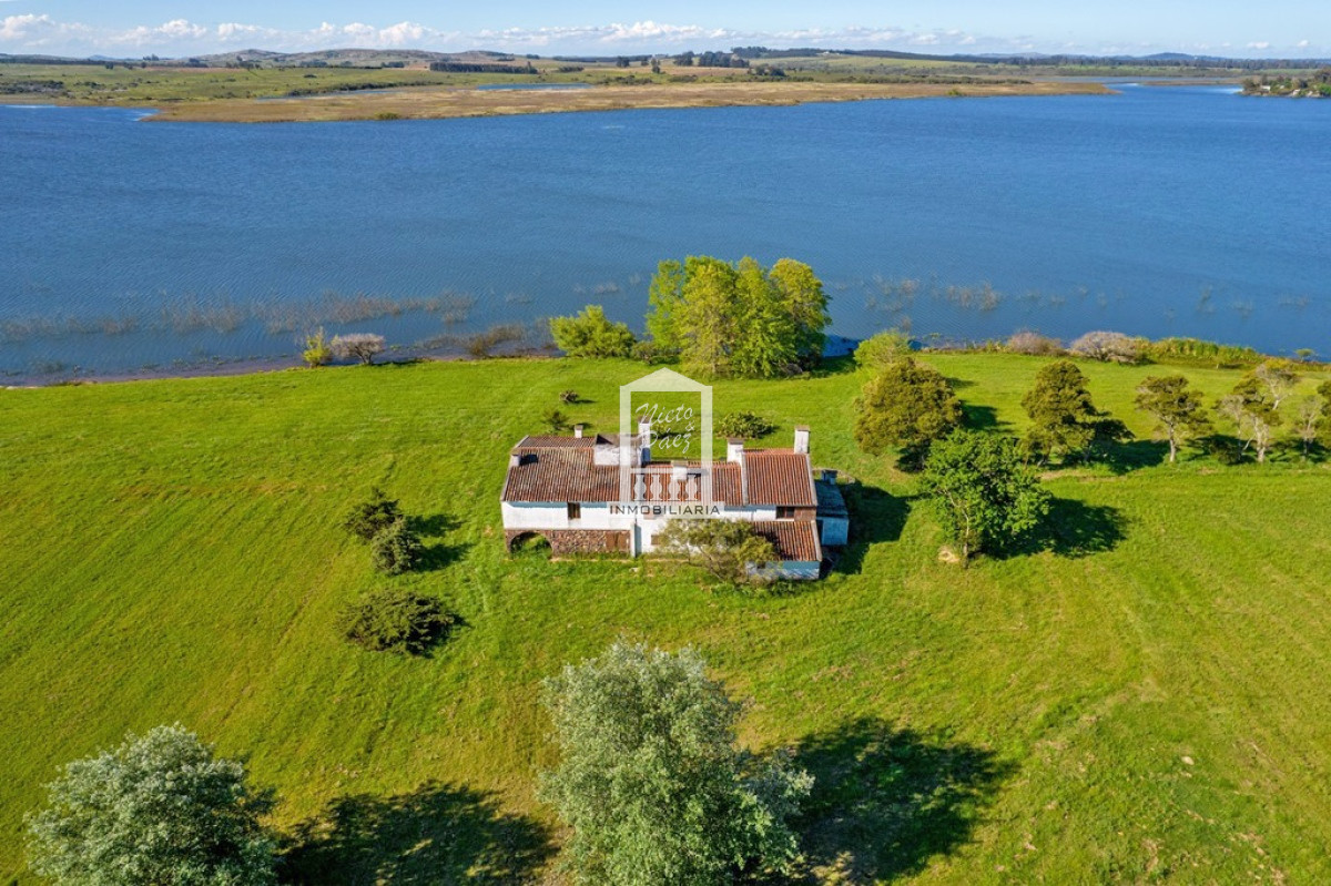 Laguna de los Cisnes - GoPunta - Portal Inmobiliario de Punta del Este - Maldonado