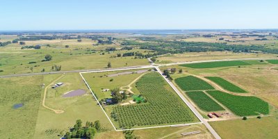 mega chacra, 750 m2 construidos, 9 dorm, piscina cubierta, 2.700 olivos - nyp40129h