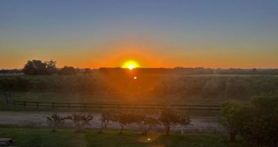 mega chacra, 750 m2 construidos, 9 dorm, piscina cubierta, 2.700 olivos - nyp40129h